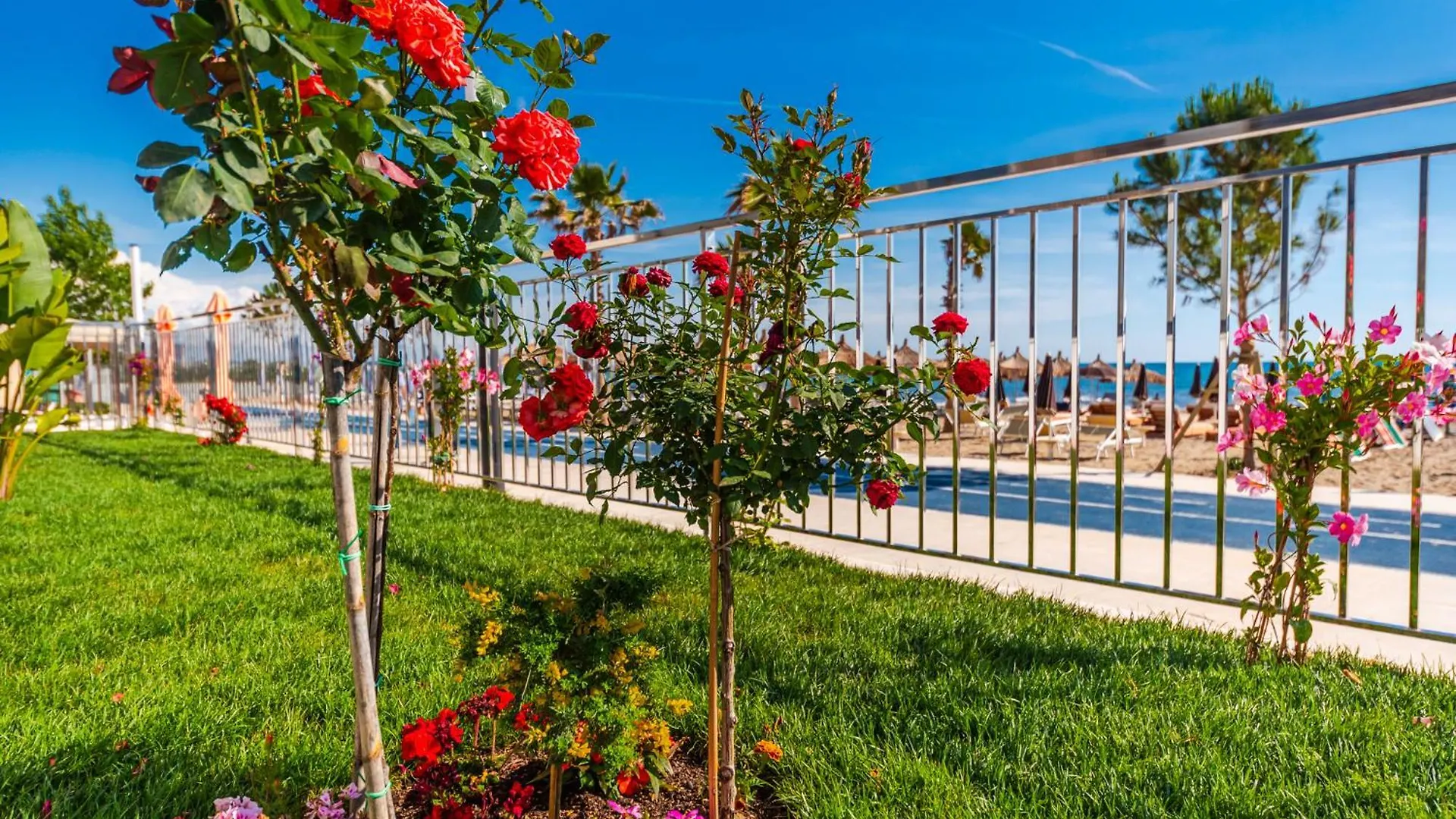 Sea View Apartments Eldo Durres Albania